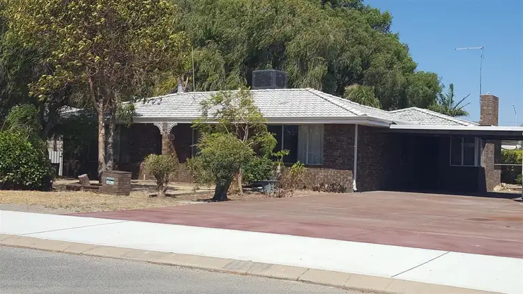 Main view of Homely house listing, 51 Mistral Street, Falcon WA 6210