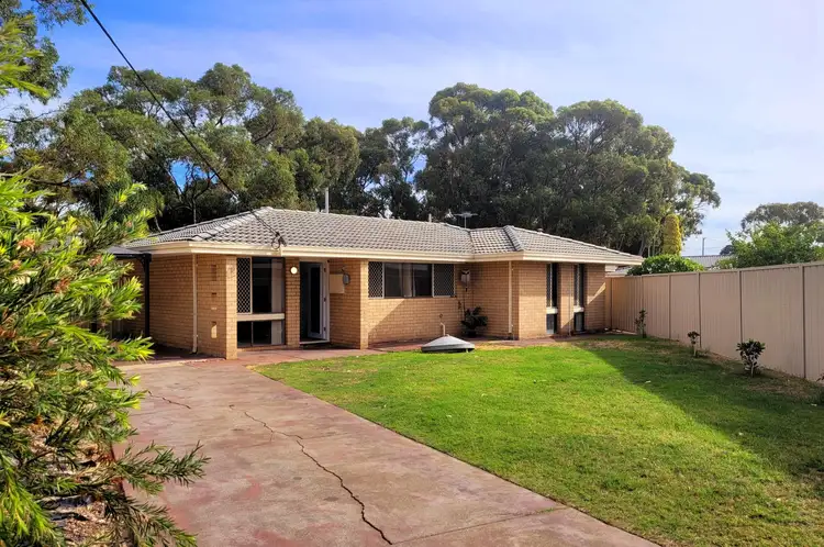 Third view of Homely house listing, 11B Tamalee Place, Hillman WA 6168
