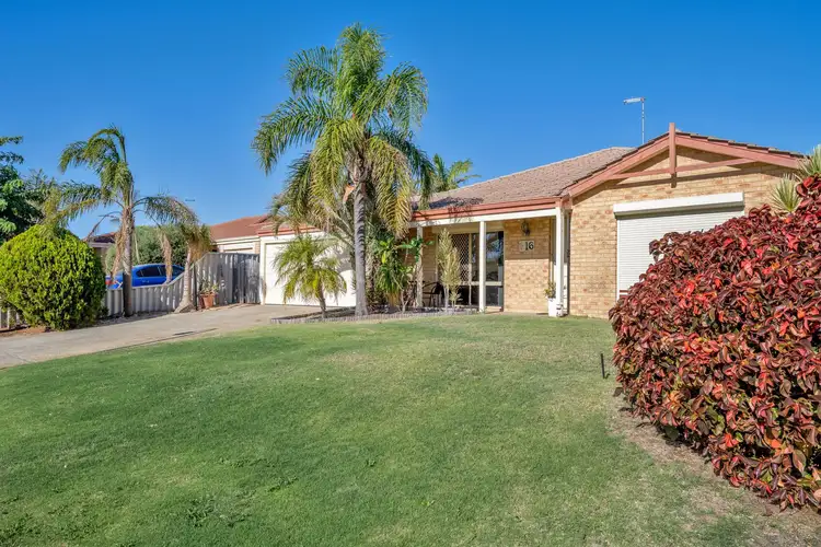 Third view of Homely house listing, 16 Templetonia Promenade, Halls Head WA 6210