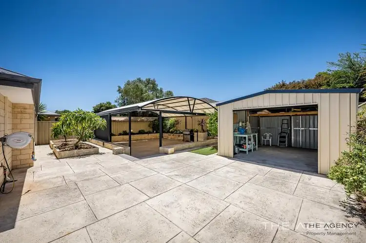 Main view of Homely house listing, 3 Odiham Way, Butler WA 6036