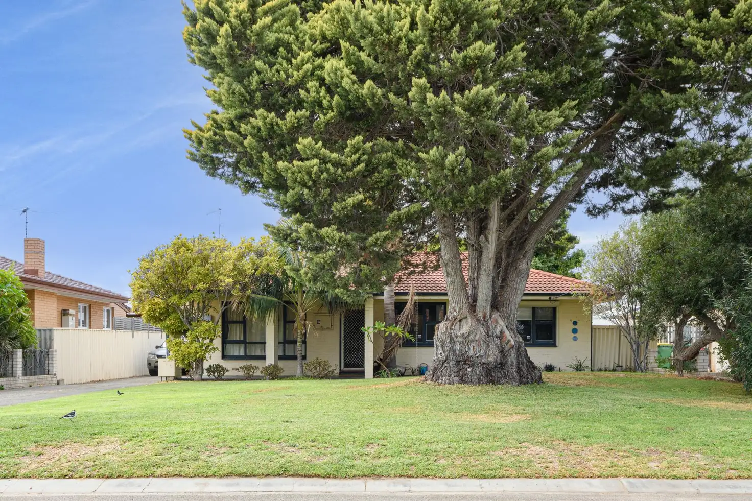 Main view of Homely house listing, 14 Aquila Close, Rockingham WA 6168