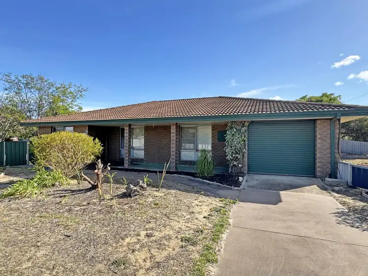 Main view of Homely house listing, 1 Walnut Grove, Castletown WA 6450