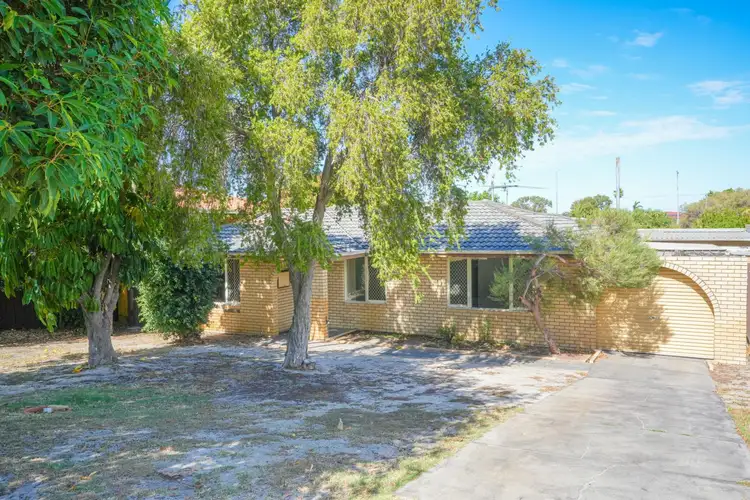 65 Hamersley Place, Morley WA 6062
