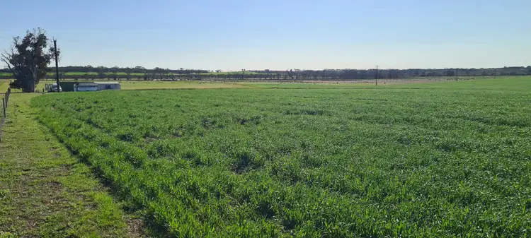 Second view of Homely rural property listing, Lot 8145 Dwelyerdine Road, Wagin WA 6315