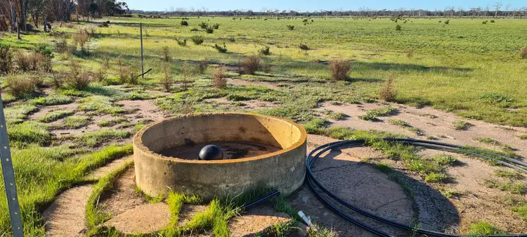 Third view of Homely rural property listing, Lot 8145 Dwelyerdine Road, Wagin WA 6315