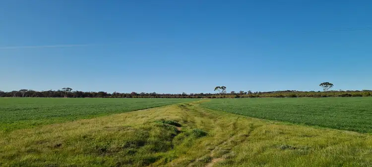 Seventh view of Homely rural property listing, Lot 8145 Dwelyerdine Road, Wagin WA 6315