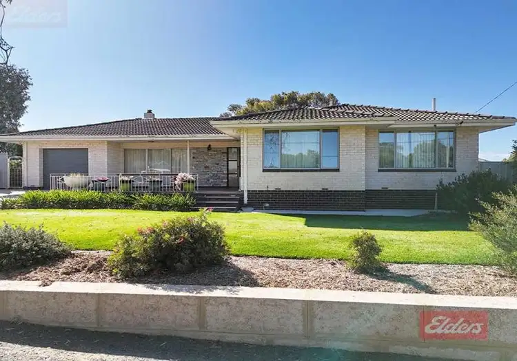 Main view of Homely house listing, 134 Clayton Road, Narrogin WA 6312