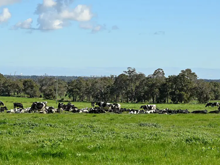 Lot 111, 196 Simpson Road, Henty WA 6236