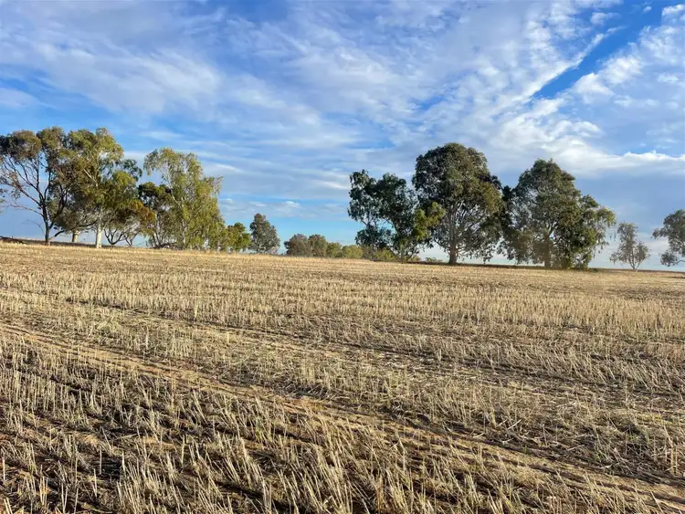 509 Rifle Range Road, Dowerin WA 6461