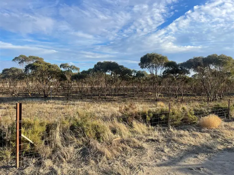 Second view of Homely rural property listing, 509 Rifle Range Road, Dowerin WA 6461