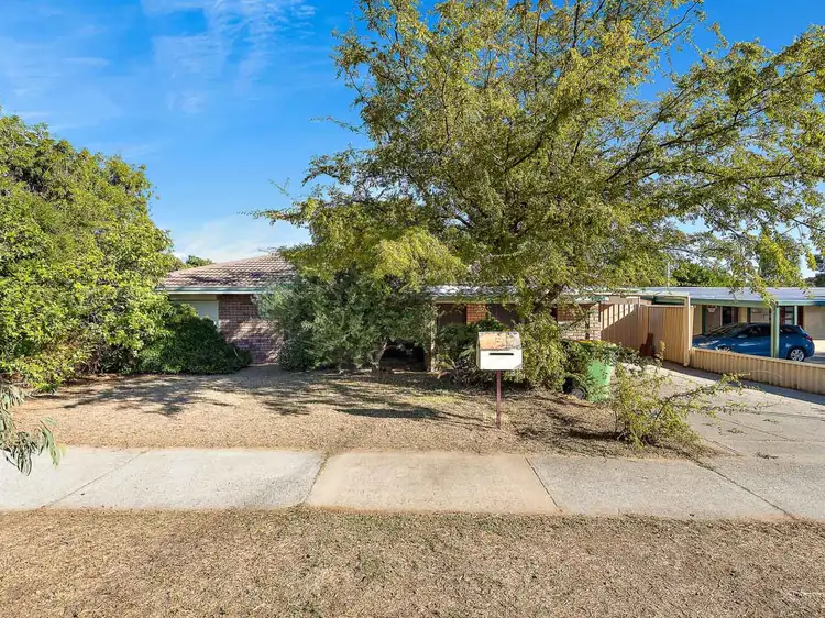 Main view of Homely house listing, 23 Unnaro Street, Hillman WA 6168