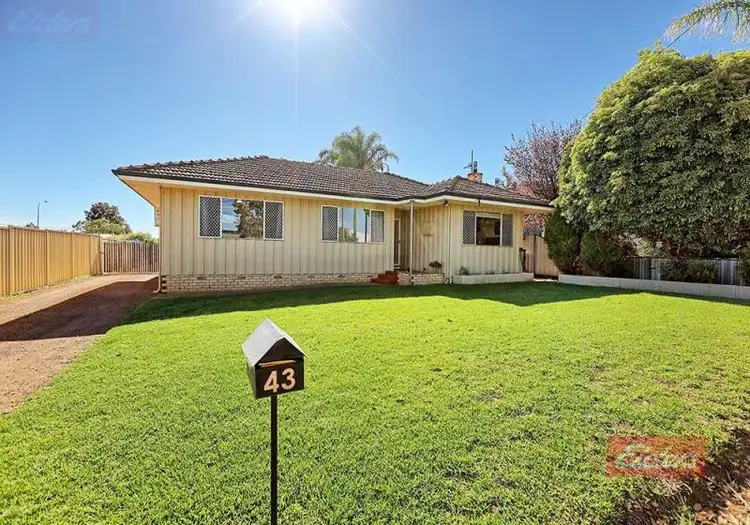 Main view of Homely house listing, 43 Grant Street, Narrogin WA 6312