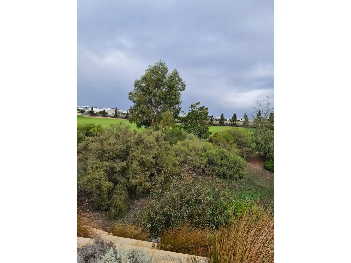Main view of Homely house listing, 98 Marlinspike Boulevard, Jindalee WA 6036