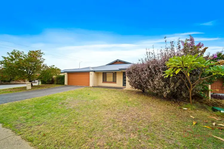 Sixth view of Homely house listing, 12 McGuiness Turn, Wattle Grove WA 6107