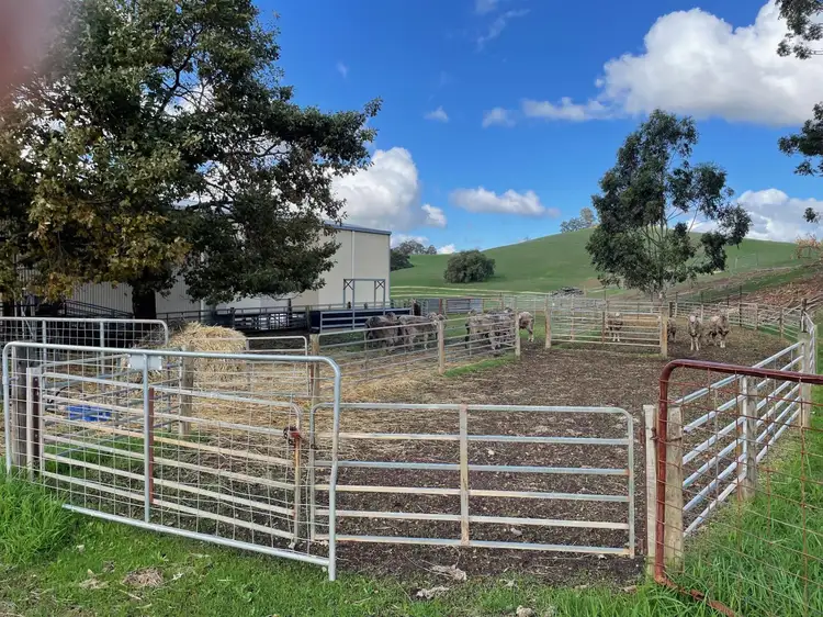 Fifth view of Homely rural property listing, 220 Bangadang Road, Queenwood WA 6239