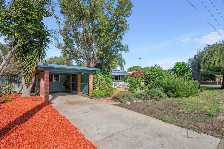 Second view of Homely house listing, 81 Mistral Street, Falcon WA 6210