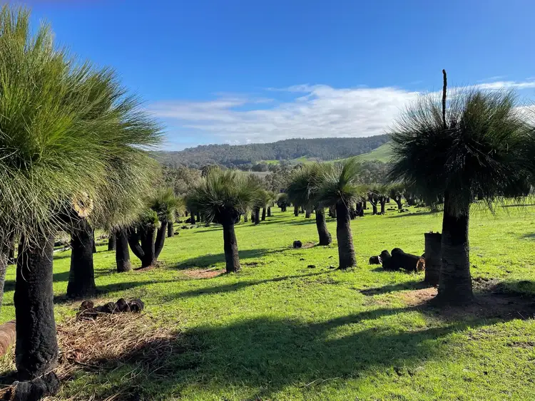 Third view of Homely rural property listing, Lot 2062 Chapman Road, Yabberup WA 6239