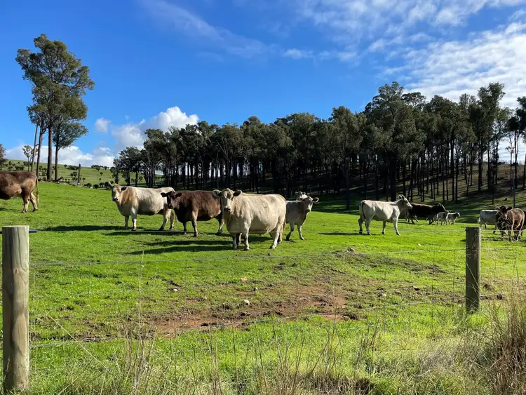 Fourth view of Homely rural property listing, Lot 2062 Chapman Road, Yabberup WA 6239