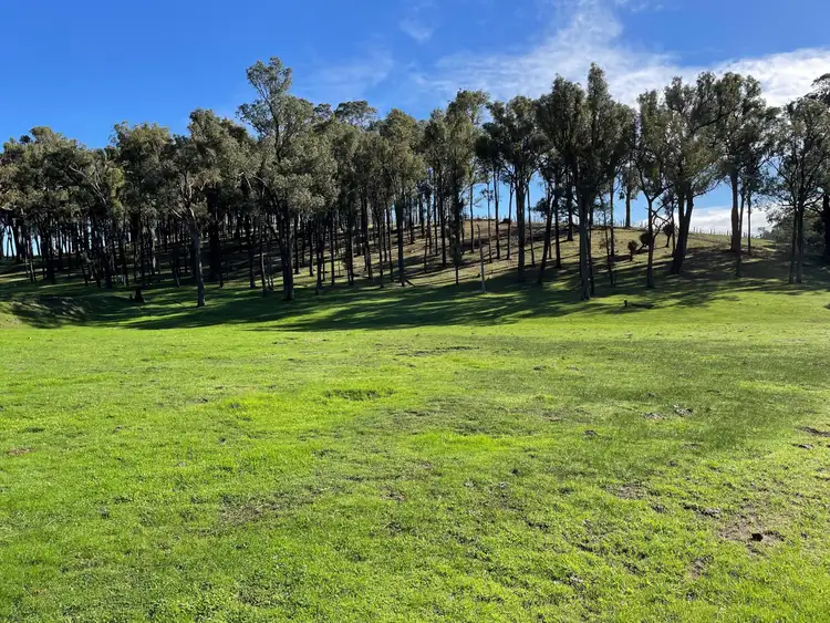 Fifth view of Homely rural property listing, Lot 2062 Chapman Road, Yabberup WA 6239
