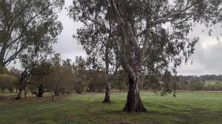 164 Great Eastern Highway