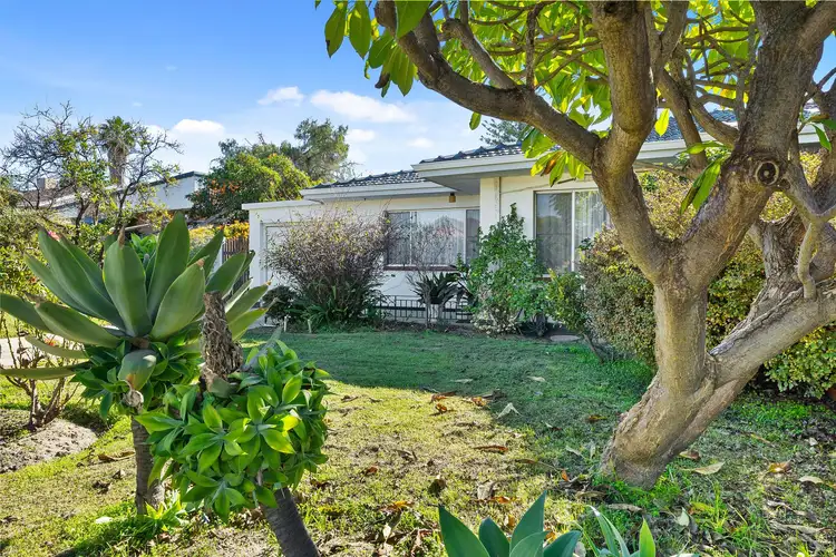 Fourth view of Homely semi-detached listing, 33 Drew Road, Ardross WA 6153