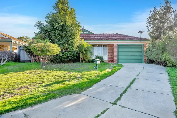 Main view of Homely house listing, 11 Jules Court, Willagee WA 6156