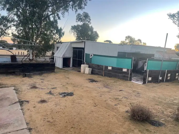 Seventh view of Homely rural property listing, 16 Hammond Street, Bencubbin WA 6477