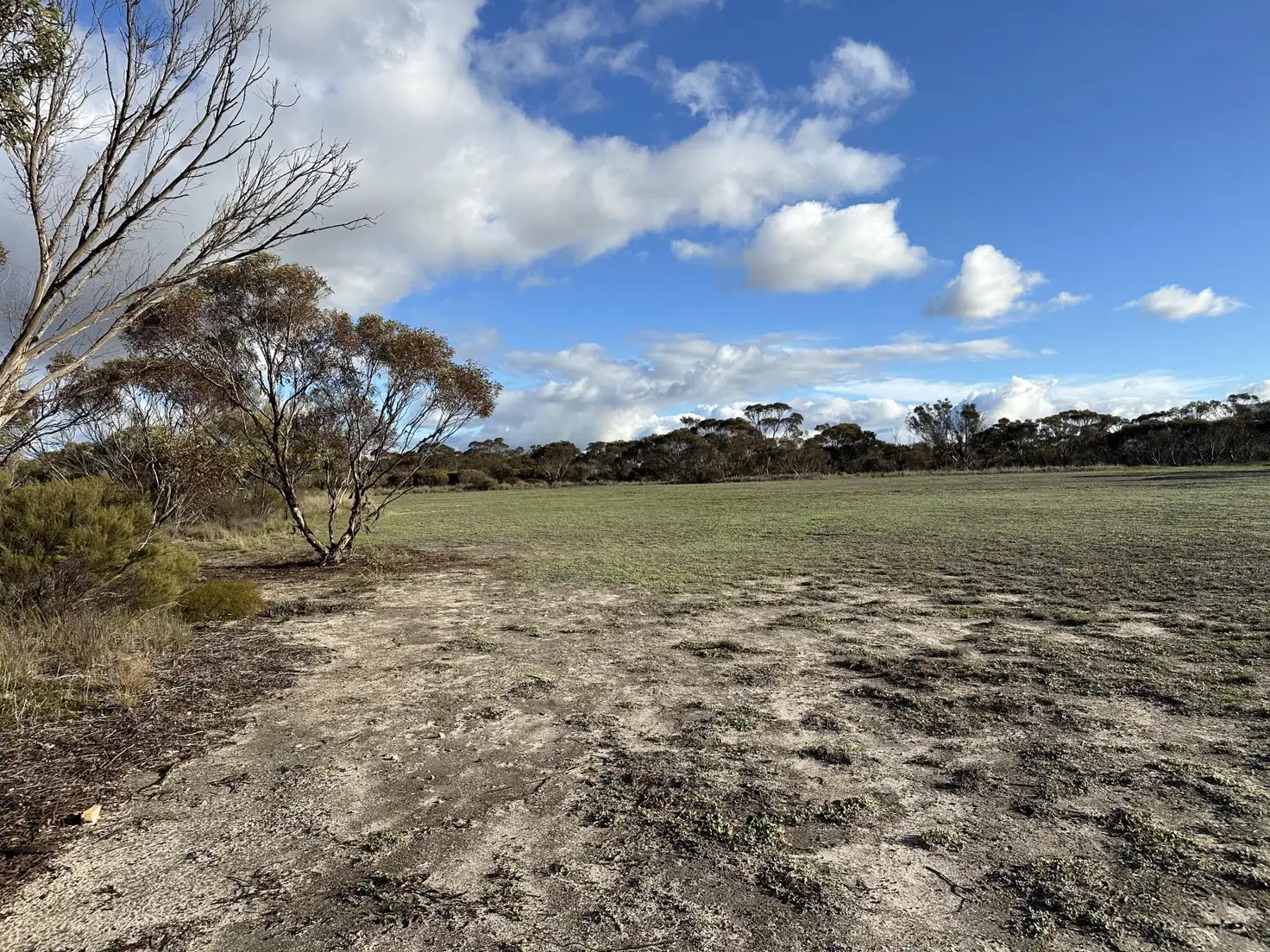 Main view of Homely land listing, 17 Porteous Street, Gnowangerup WA 6335