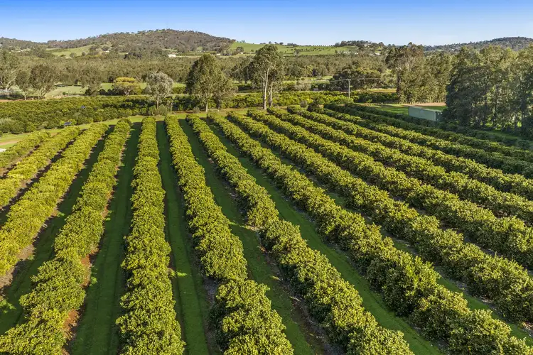 Fourth view of Homely rural property listing, 45 Settlement Road, Bindoon WA 6502
