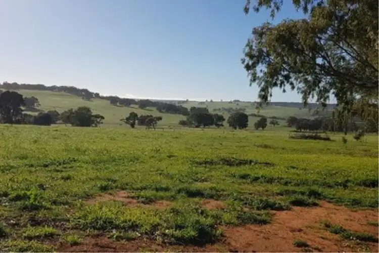 Main view of Homely land listing, Lot 125, Aquilo Road, Ginginup WA 6503