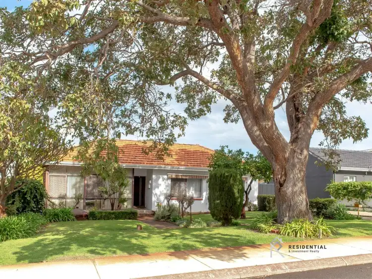 Main view of Homely house listing, 11 Eden Street, Innaloo WA 6018