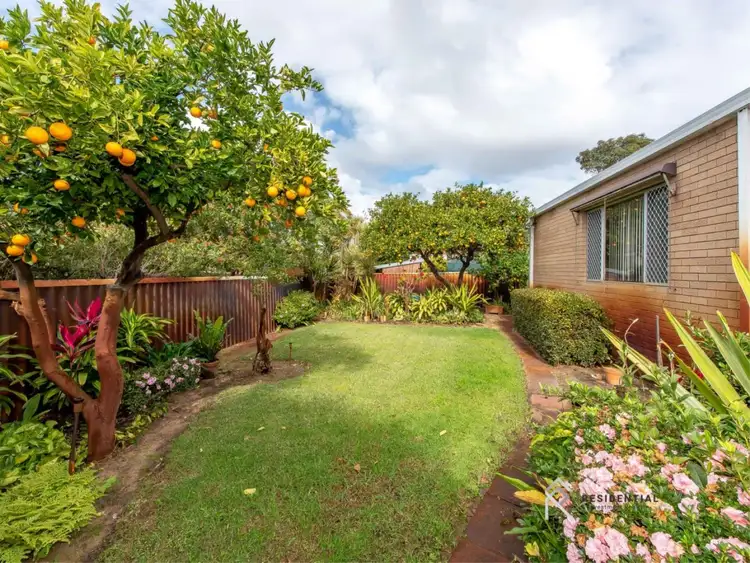 Third view of Homely house listing, 11 Eden Street, Innaloo WA 6018