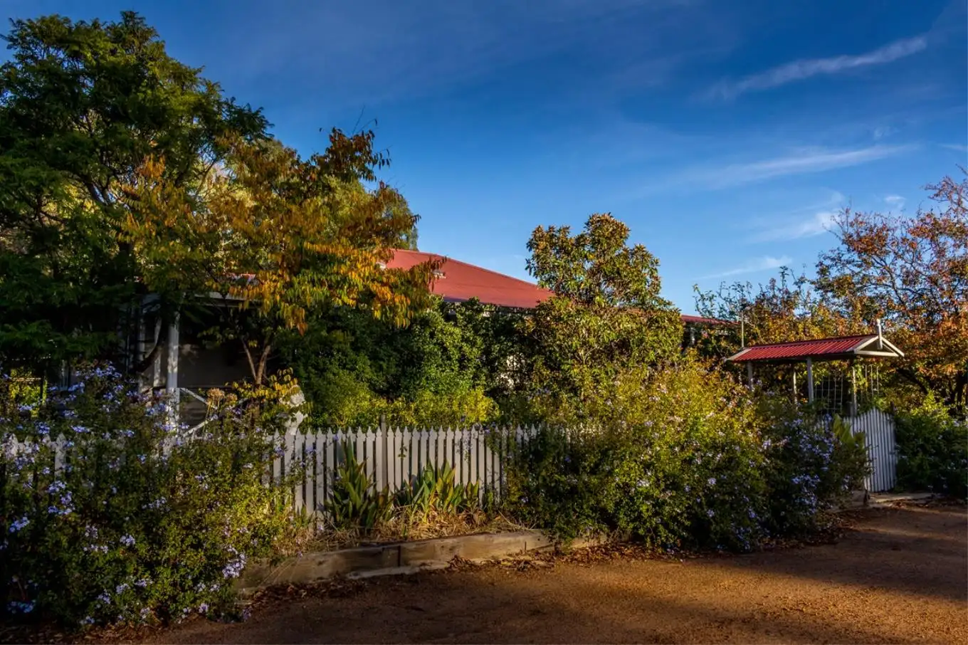 Main view of Homely house listing, 4 Unicorn Street, Wagin WA 6315