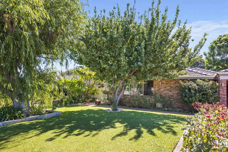 Second view of Homely house listing, 15 Yallambee Crescent, Wanneroo WA 6065