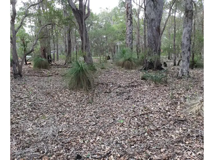 Main view of Homely land listing, 29 Sabina Drive, Molloy Island WA 6290