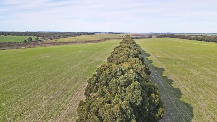 Fifth view of Homely rural property listing, Lot 695 Coramup Road, Gibson WA 6448