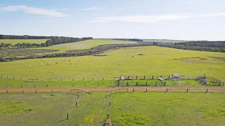 Seventh view of Homely rural property listing, Lot 695 Coramup Road, Gibson WA 6448