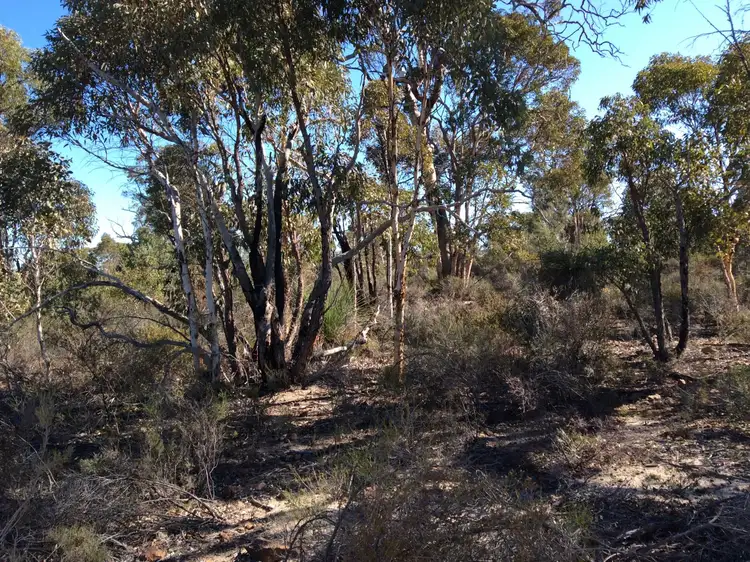 Main view of Homely land listing, 12 Hibbertia Place, Toodyay WA 6566