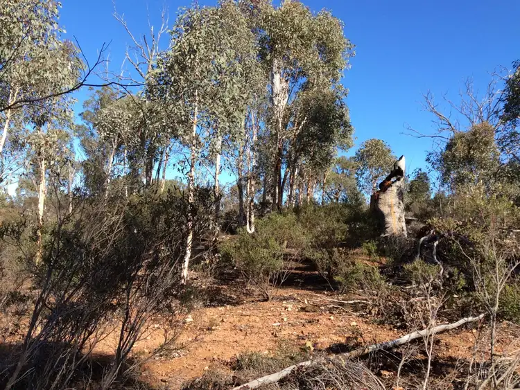 Fourth view of Homely land listing, 12 Hibbertia Place, Toodyay WA 6566