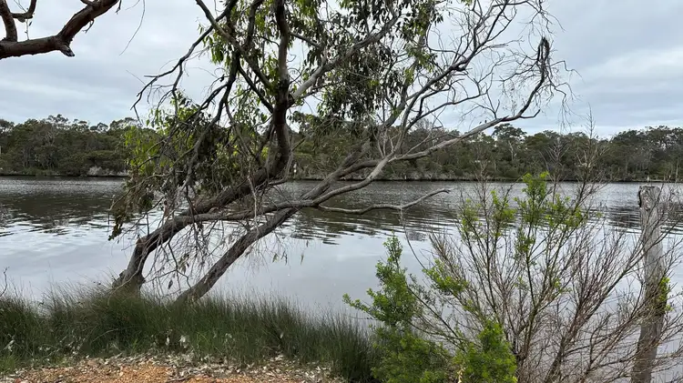 8 Sabina Drive, Molloy Island WA 6290