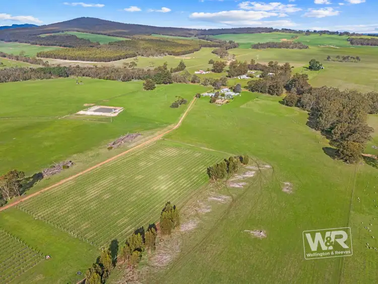 Third view of Homely rural property listing, 233 Duck Road, Mount Barker WA 6324