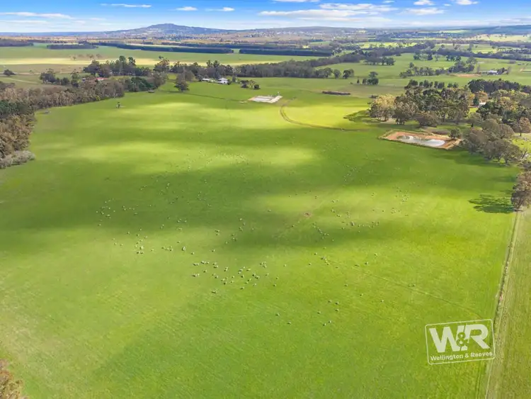 Seventh view of Homely rural property listing, 233 Duck Road, Mount Barker WA 6324