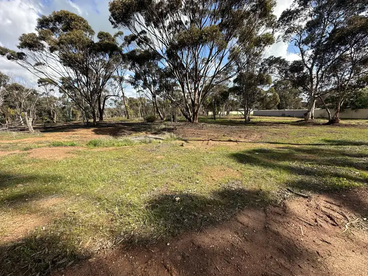 11 Ivy  Street East, Broomehill Village WA 6318