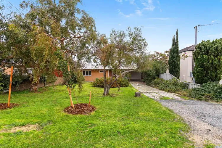 Fifth view of Homely house listing, 77 Gildercliffe Street, Scarborough WA 6019