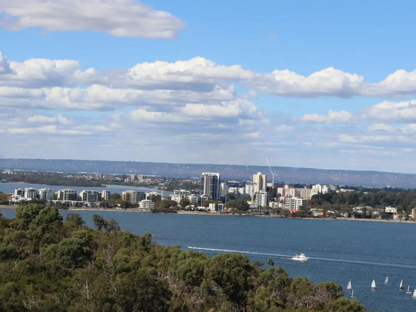 Main view of Homely apartment listing, 19E/16 Kings Park Avenue, Crawley WA 6009