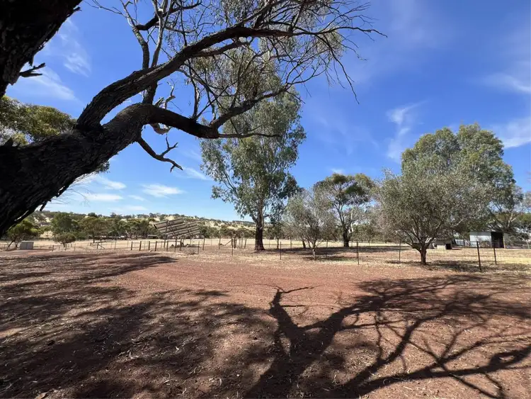 Sixth view of Homely house listing, 37 Ralph Court, Bejoording WA 6566