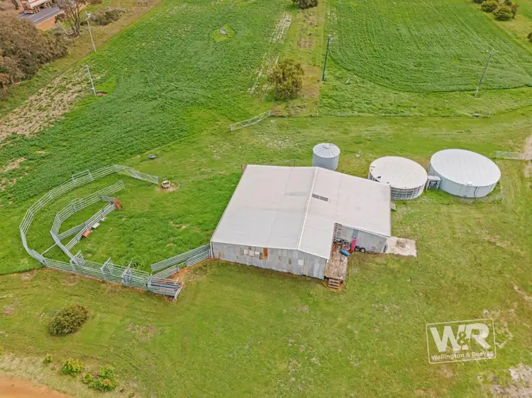 Seventh view of Homely rural property listing, 28619 Albany Highway, Tenterden WA 6322