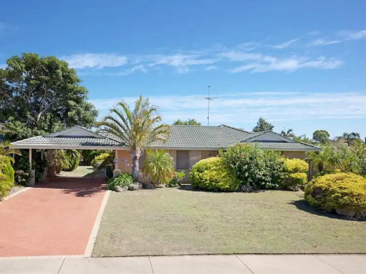 Main view of Homely house listing, 11 Floribunda Avenue, Halls Head WA 6210