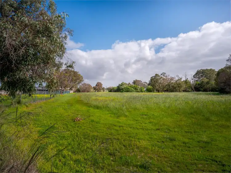 Main view of Homely house listing, 41 Farrall Road, Midvale WA 6056