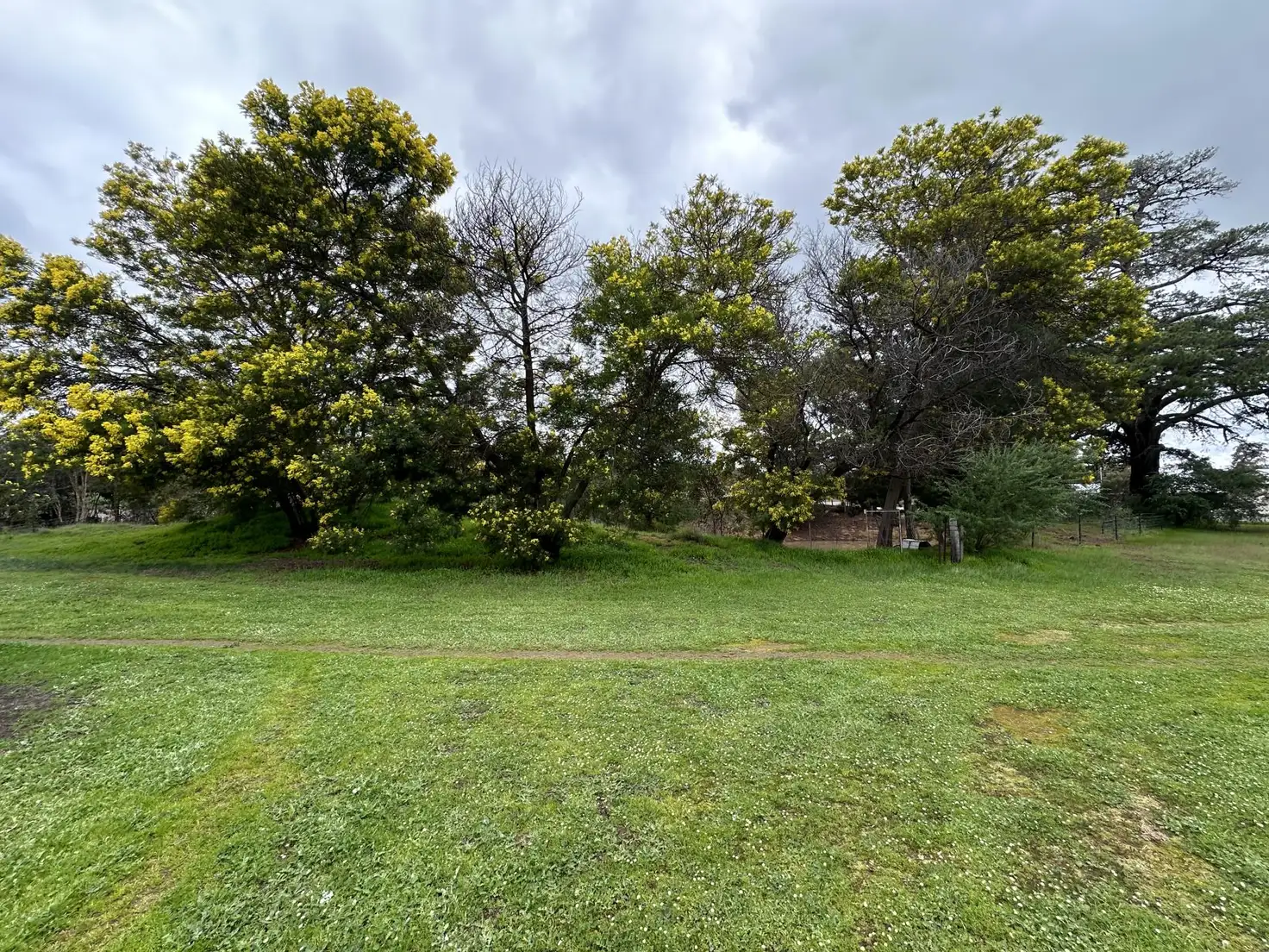 Main view of Homely house listing, 29 Gillam Street, Tenterden WA 6322